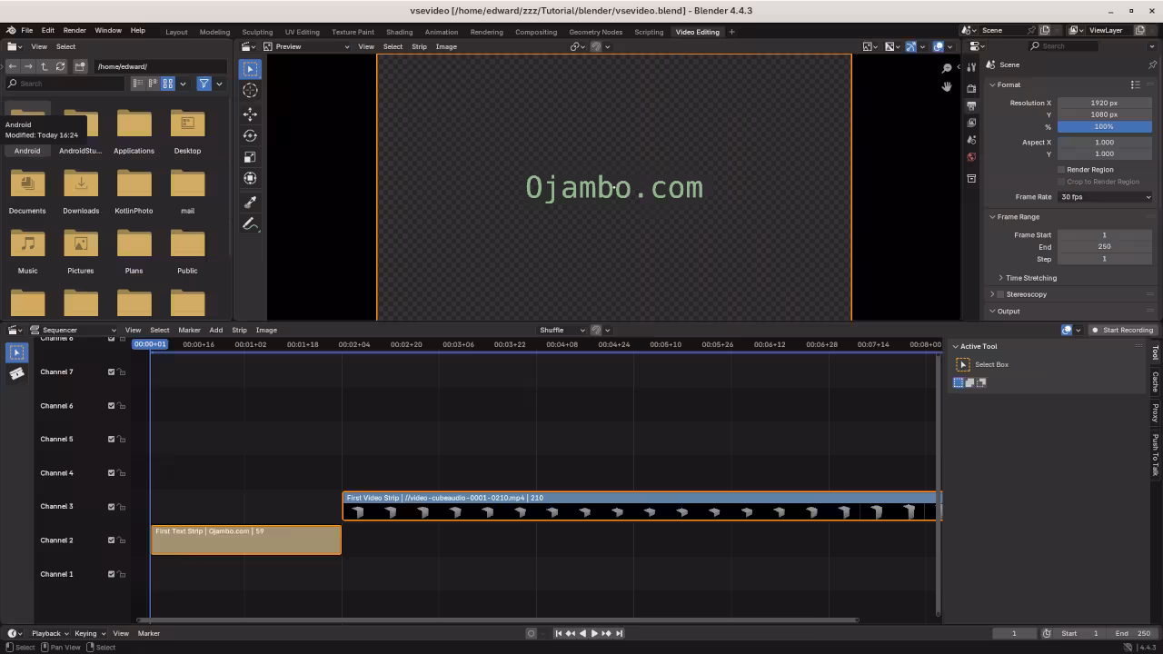 Blender Python API File Video Editing Screen