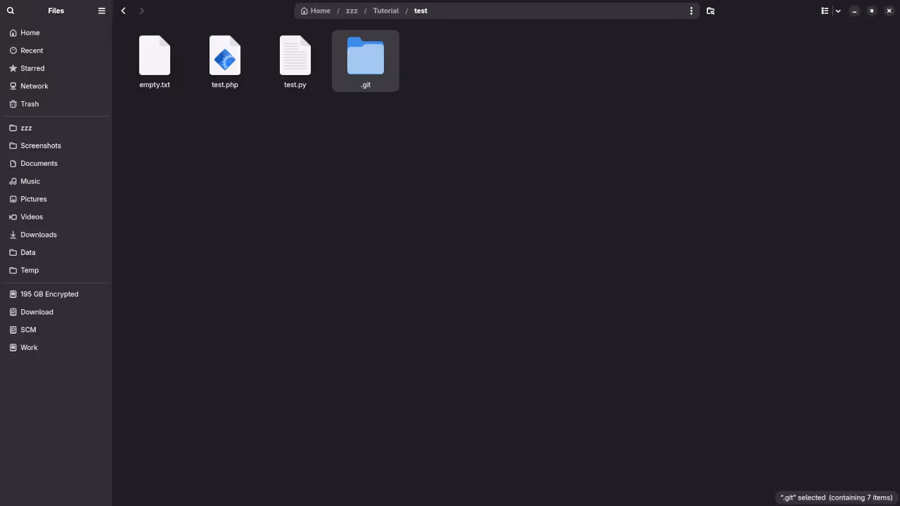 Git Local Repository