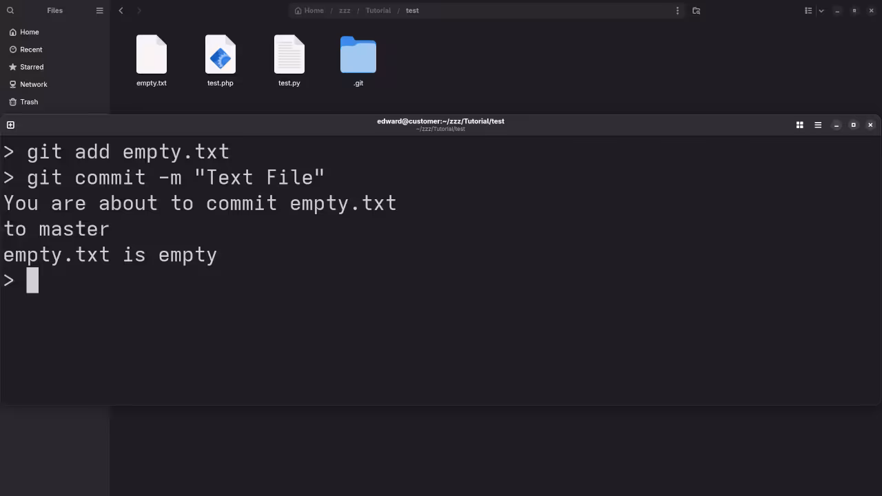 Git Pre-Commit Empty File Check