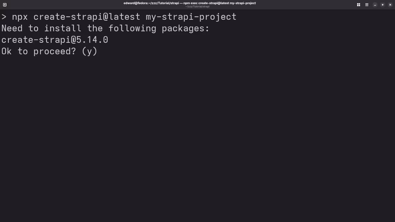 Strapi Project Creation