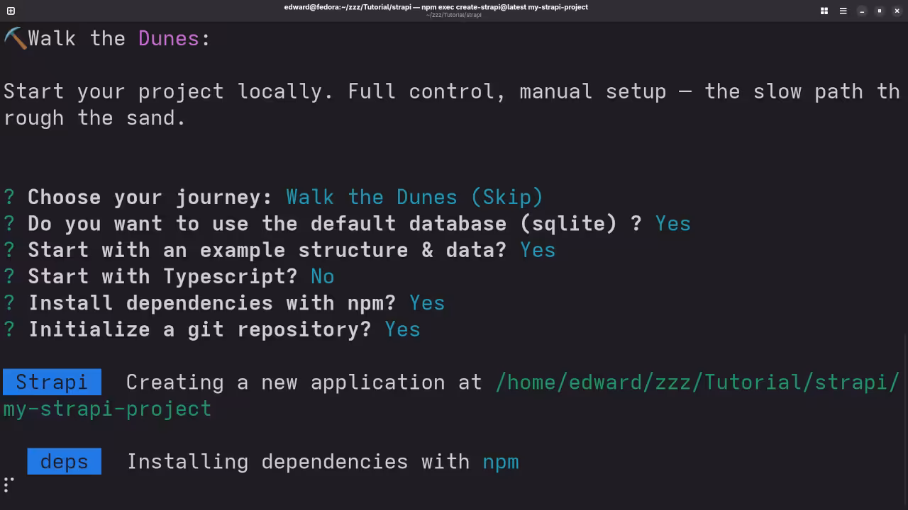 Strapi Project Setup