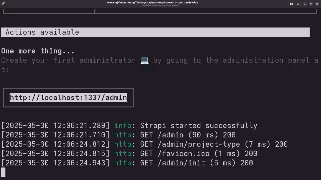Strapi Running Server