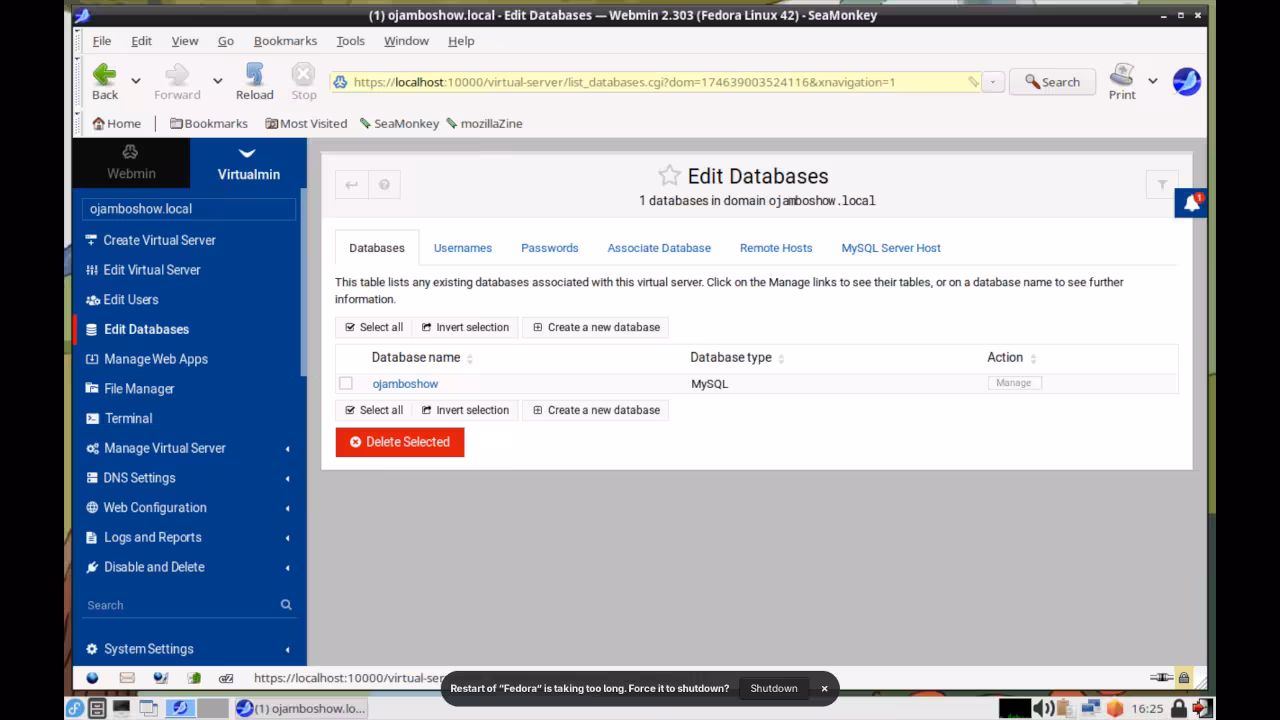 Virtualmin Edit Databases