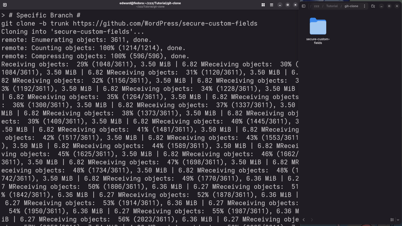 Git Clone Specific Branch