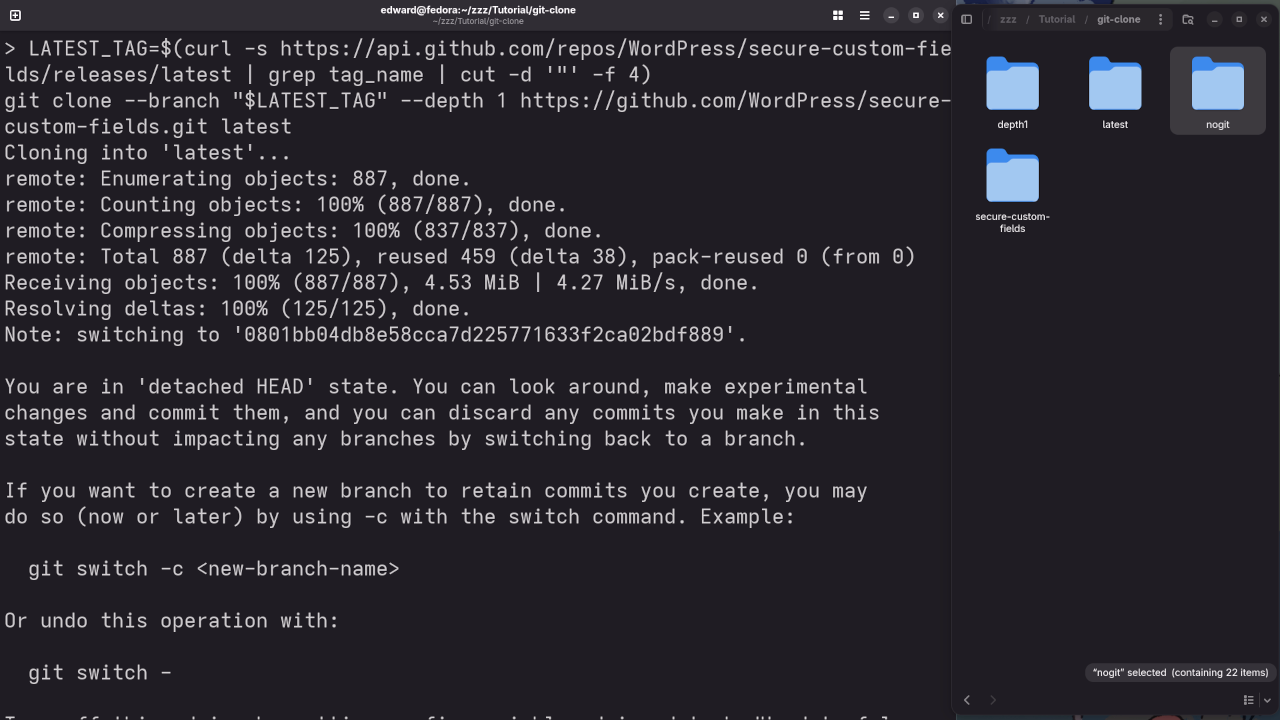 Git Clone Latest Tag