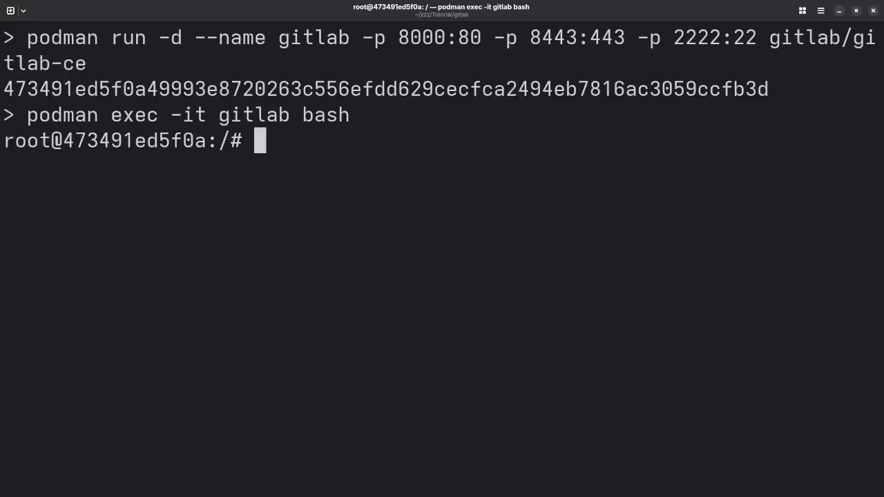 Podman Executing Bash Commands Inside Pod