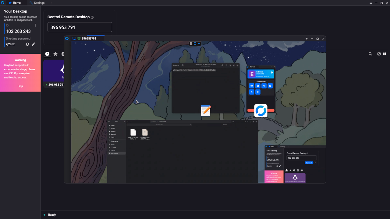 Rustdesk Client Remote Overview