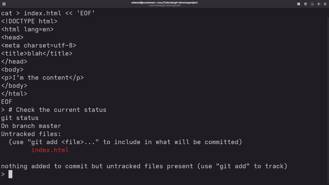 Git Status After Updating Project Files