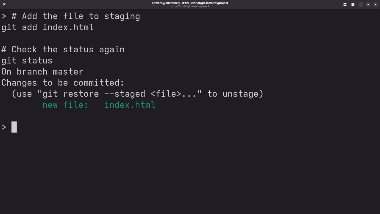 Git Status After Adding Single File