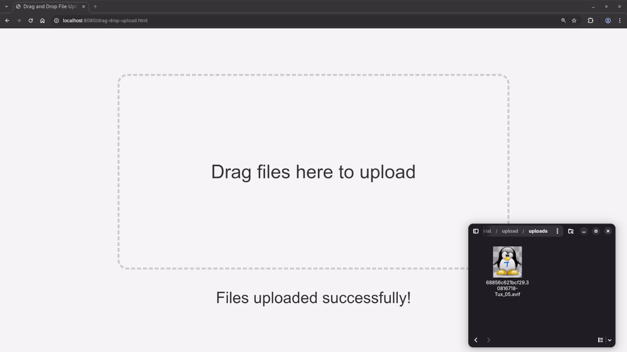 Successfully uploaded drag and drop file folder