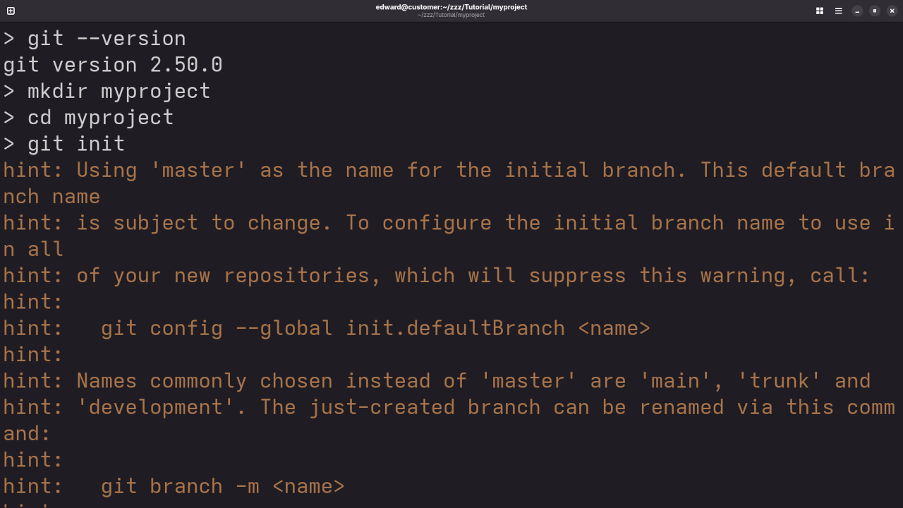 Git Check And Initialization