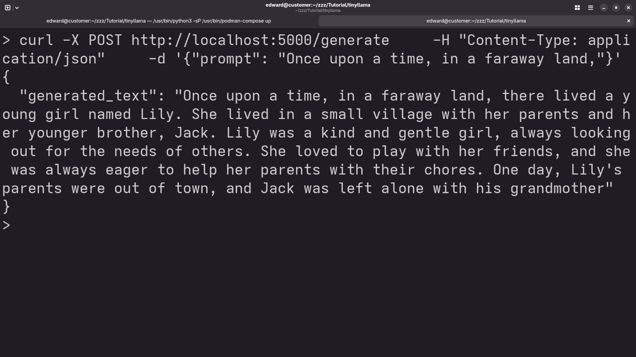 TinyLlama 1.1B Prompt Answer
