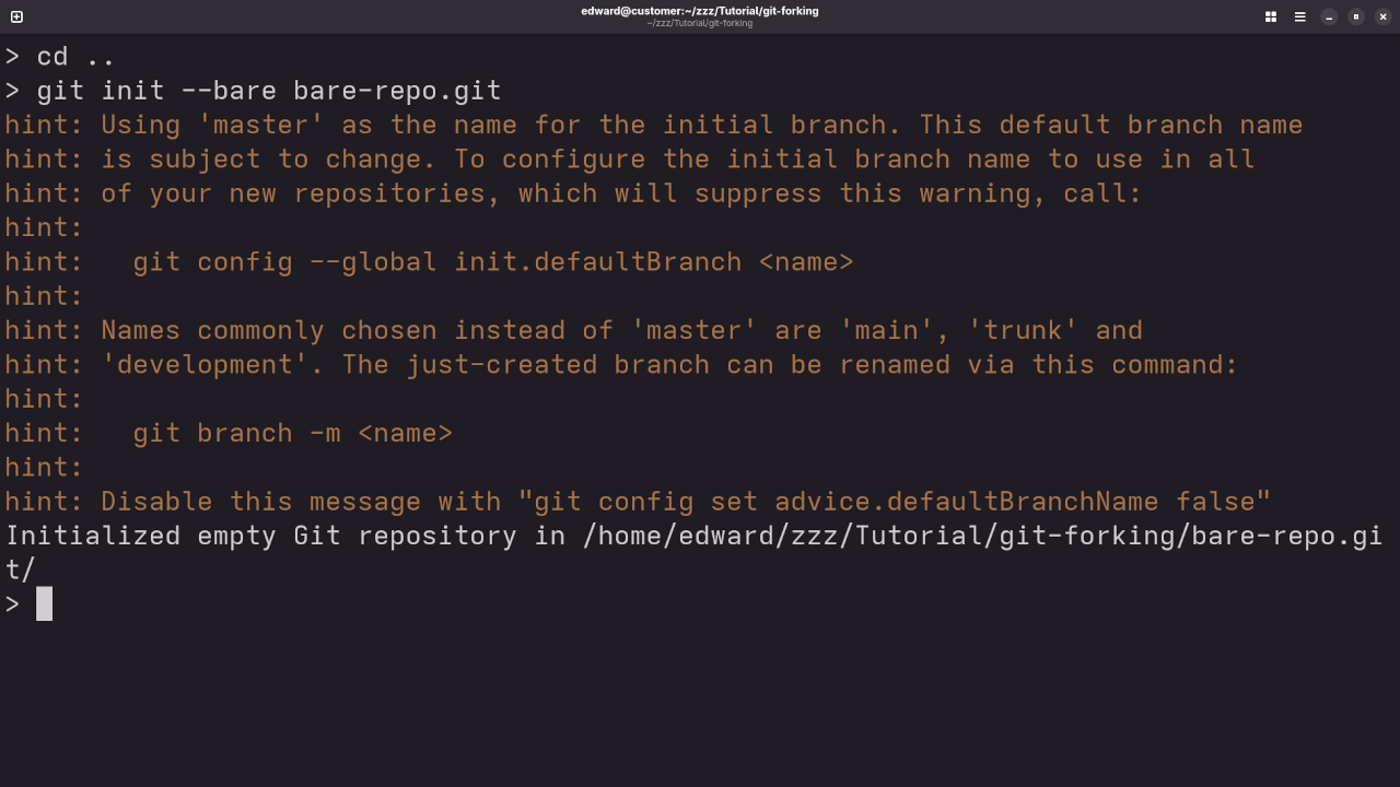 Git Remote Repo