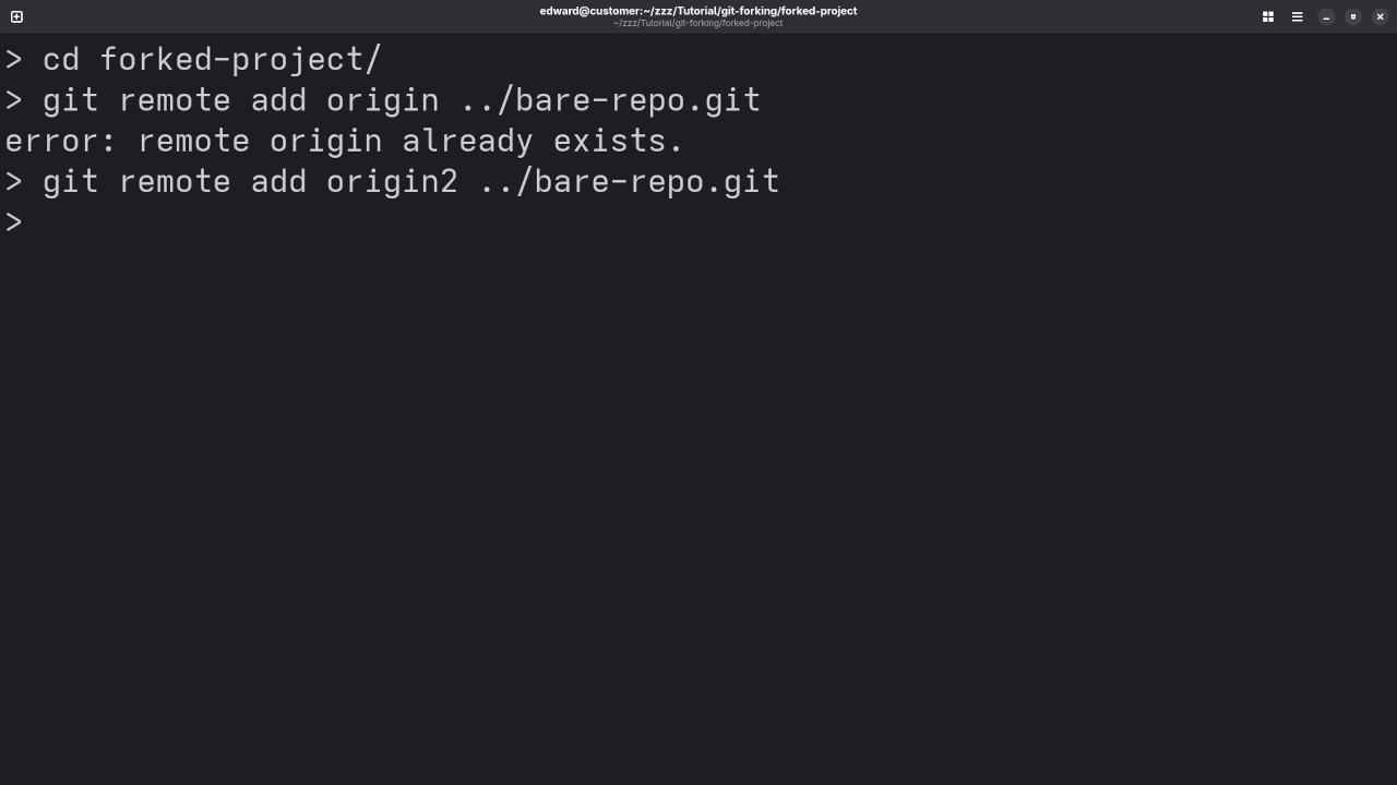 Git Adding Remote Repo