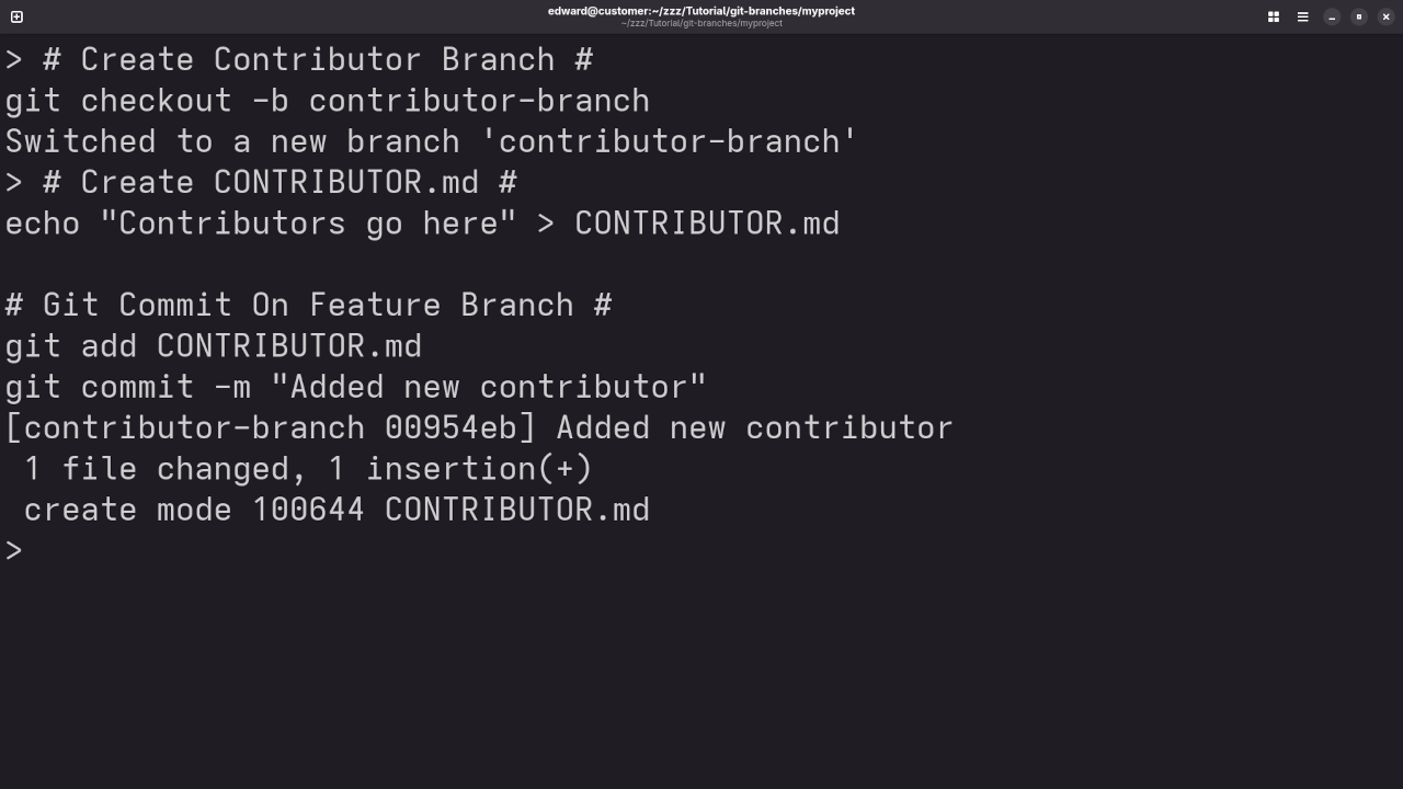 Git Commit On New Contributor Branch