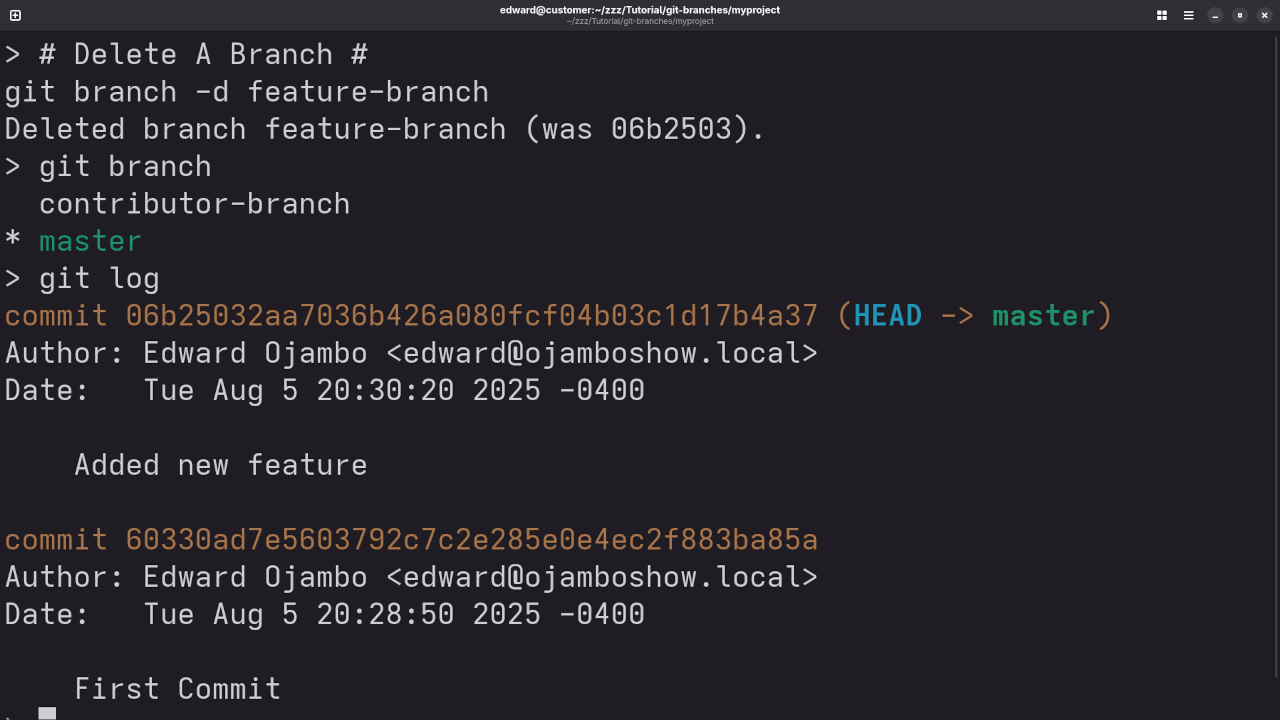 Git Branch Delete Feature