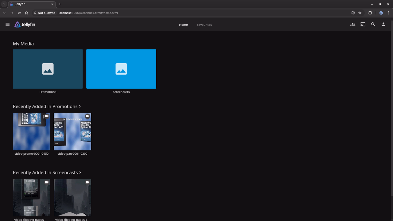 Jellyfin Dashboad Screen