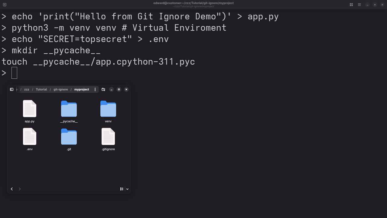Git Ignore Content