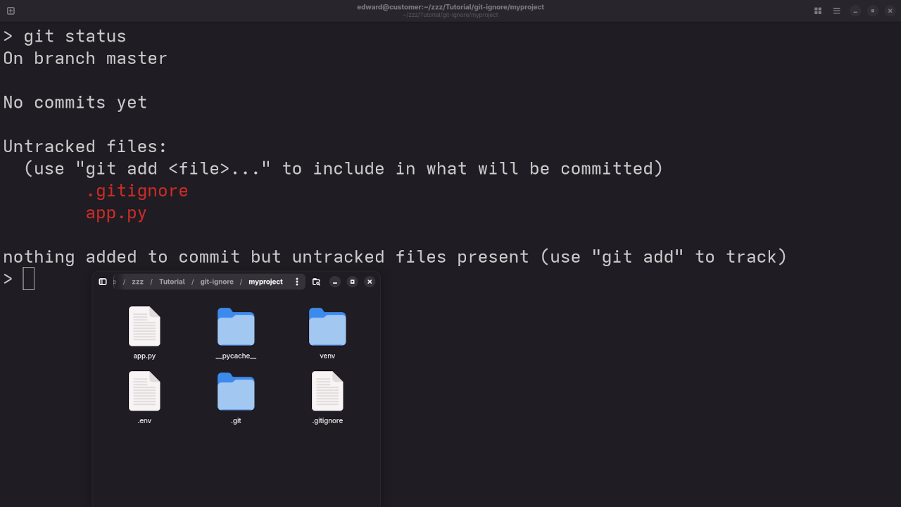Git Status For Project