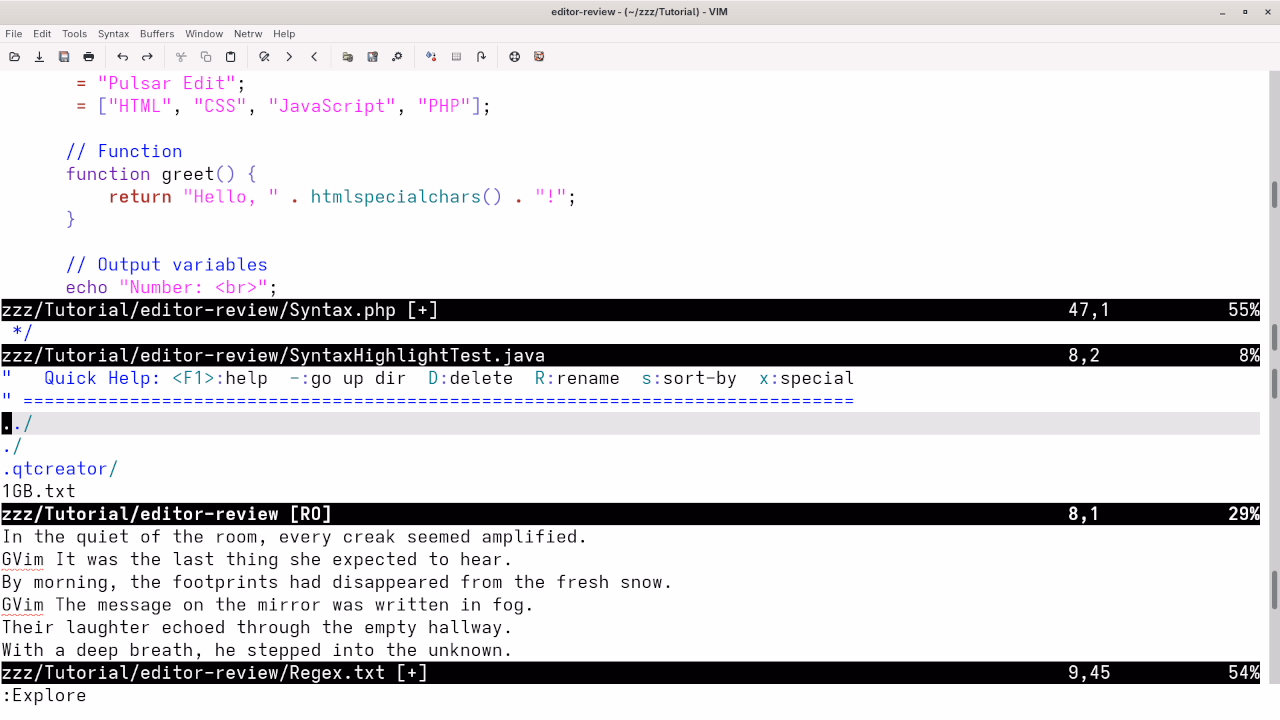 GVim File Explorer