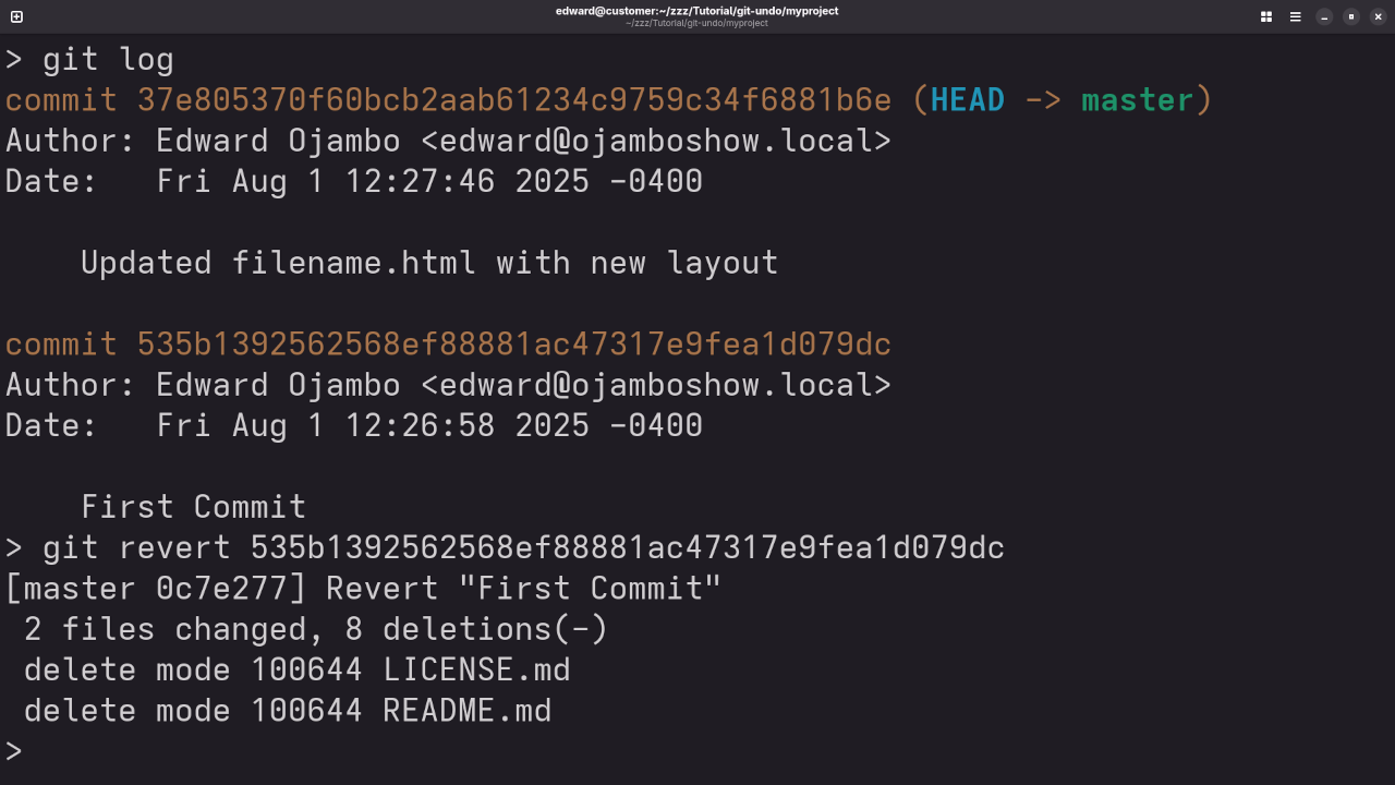 Git Revert Result