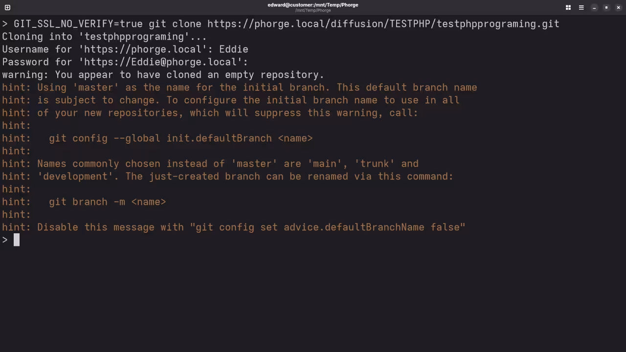 Git Repo Clone