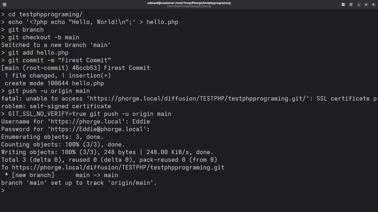 Git Push