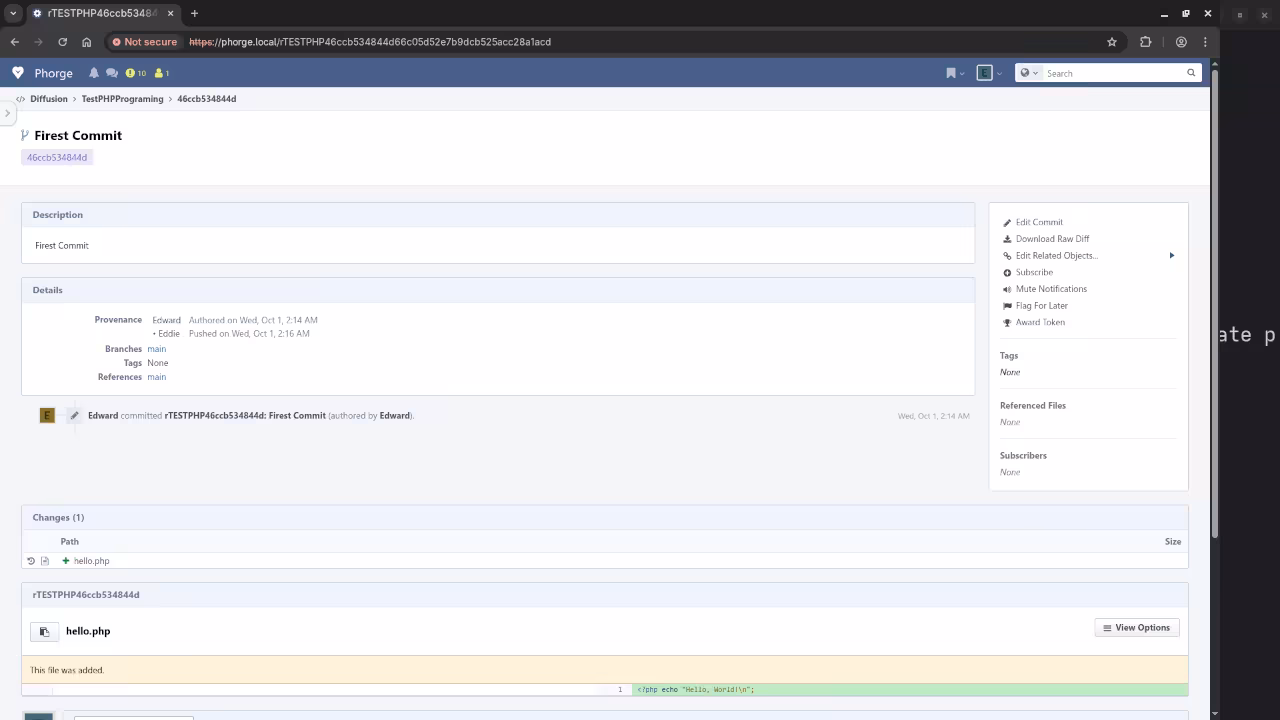 Phorge Repo Code Commits