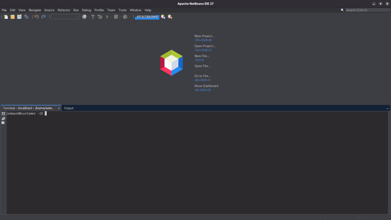 Netbeans 27 Terminal View