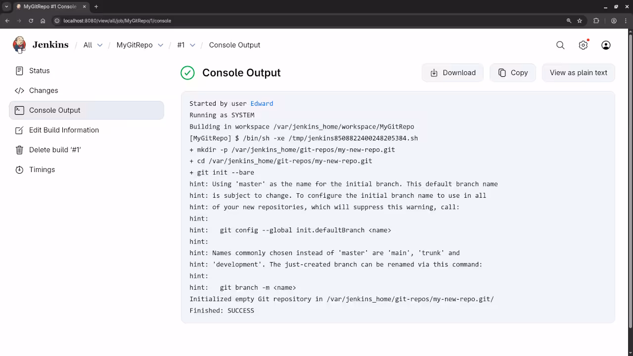 Jenkins Console Output