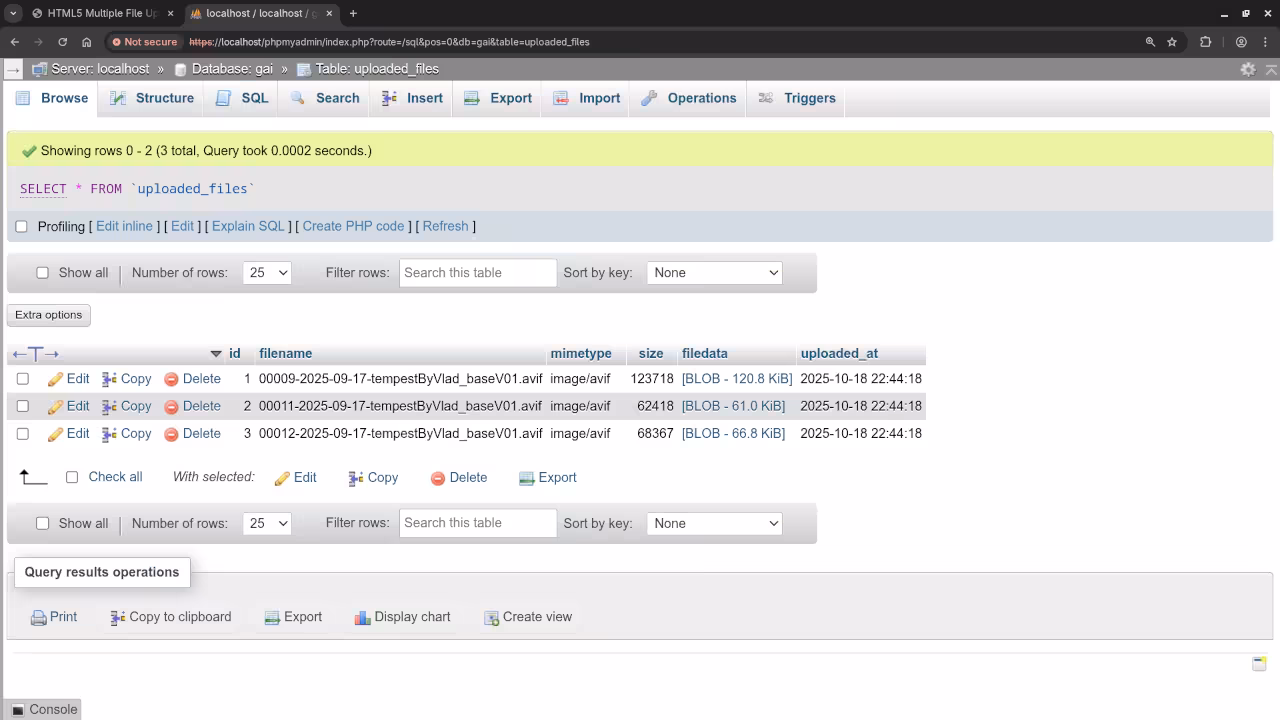 Uploaded Files In Database