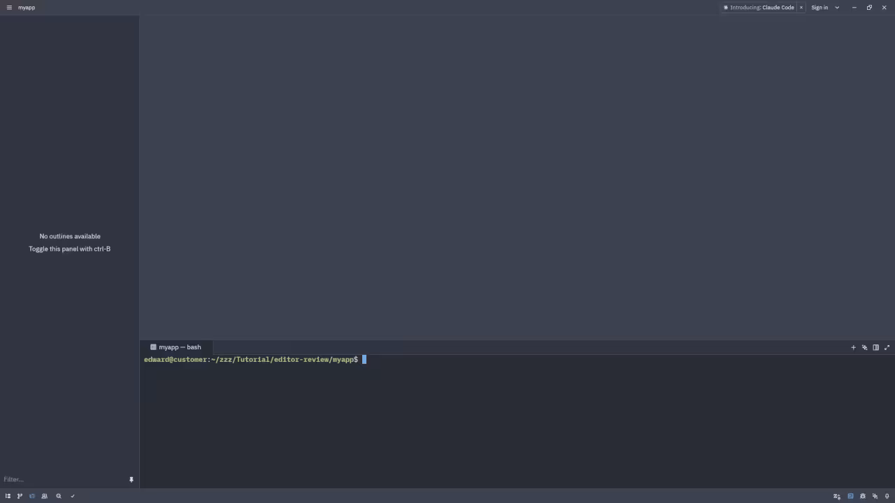 Zed Terminal View
