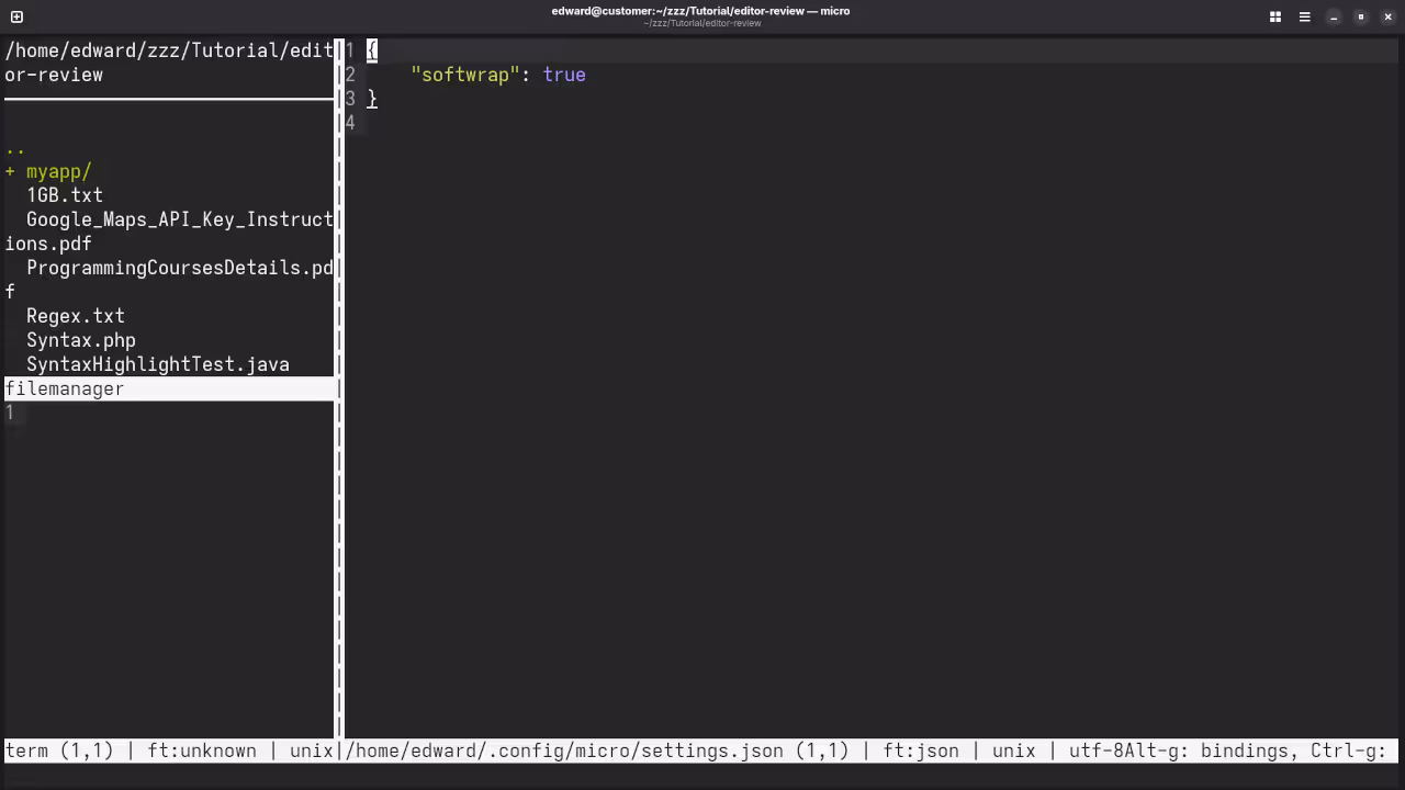 Write FASTER: Micro Editor for Linux Productivity