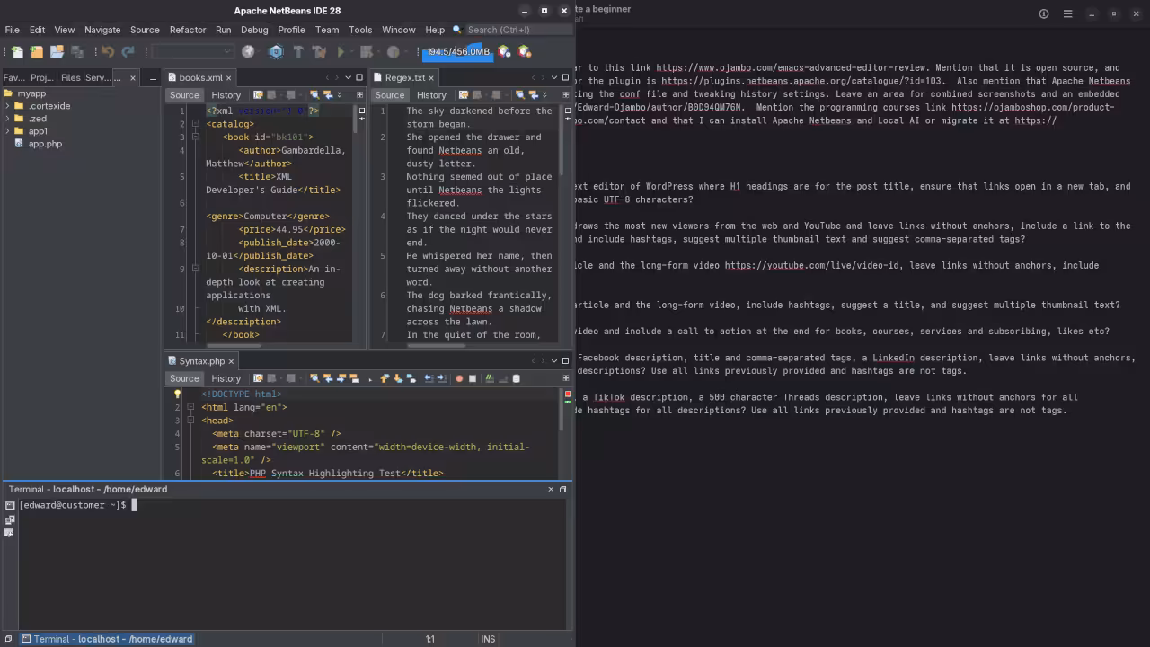 Netbeans 28 Terminal View