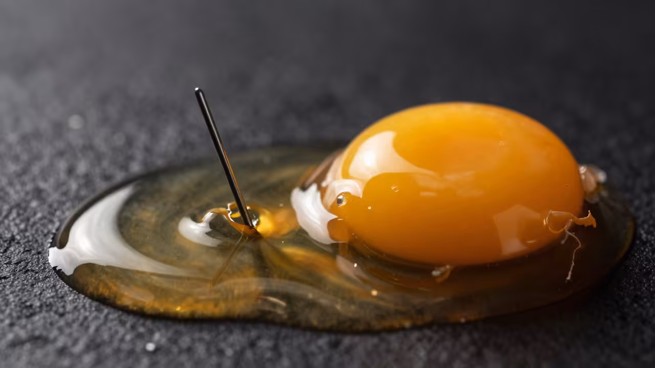 Egg Yolk Rupture